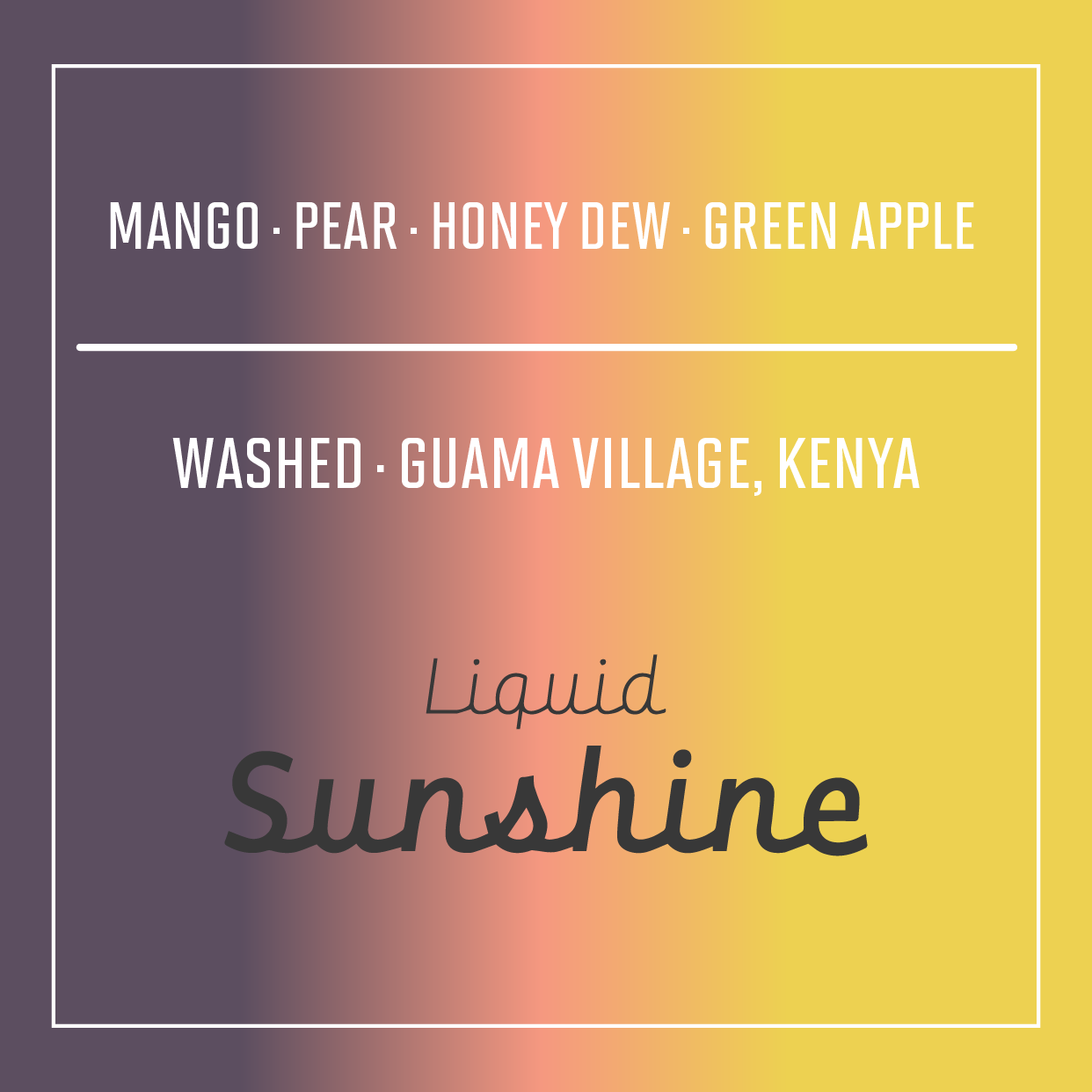 Kenya | Liquid Sunshine | Washed Process