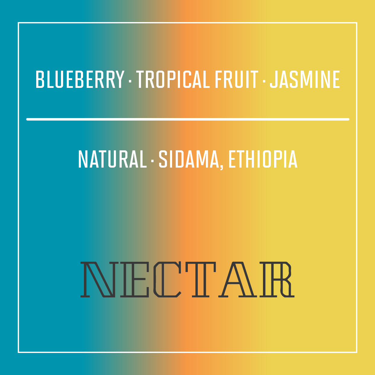 Ethiopia | Nectar | Natural Process